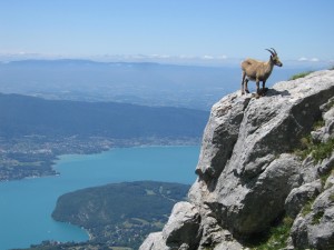 lake Annecy views